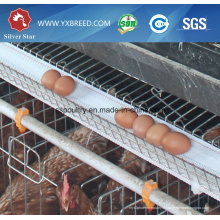 Cage de poulet à poulet / couche pour la ferme de volaille (A3L90)